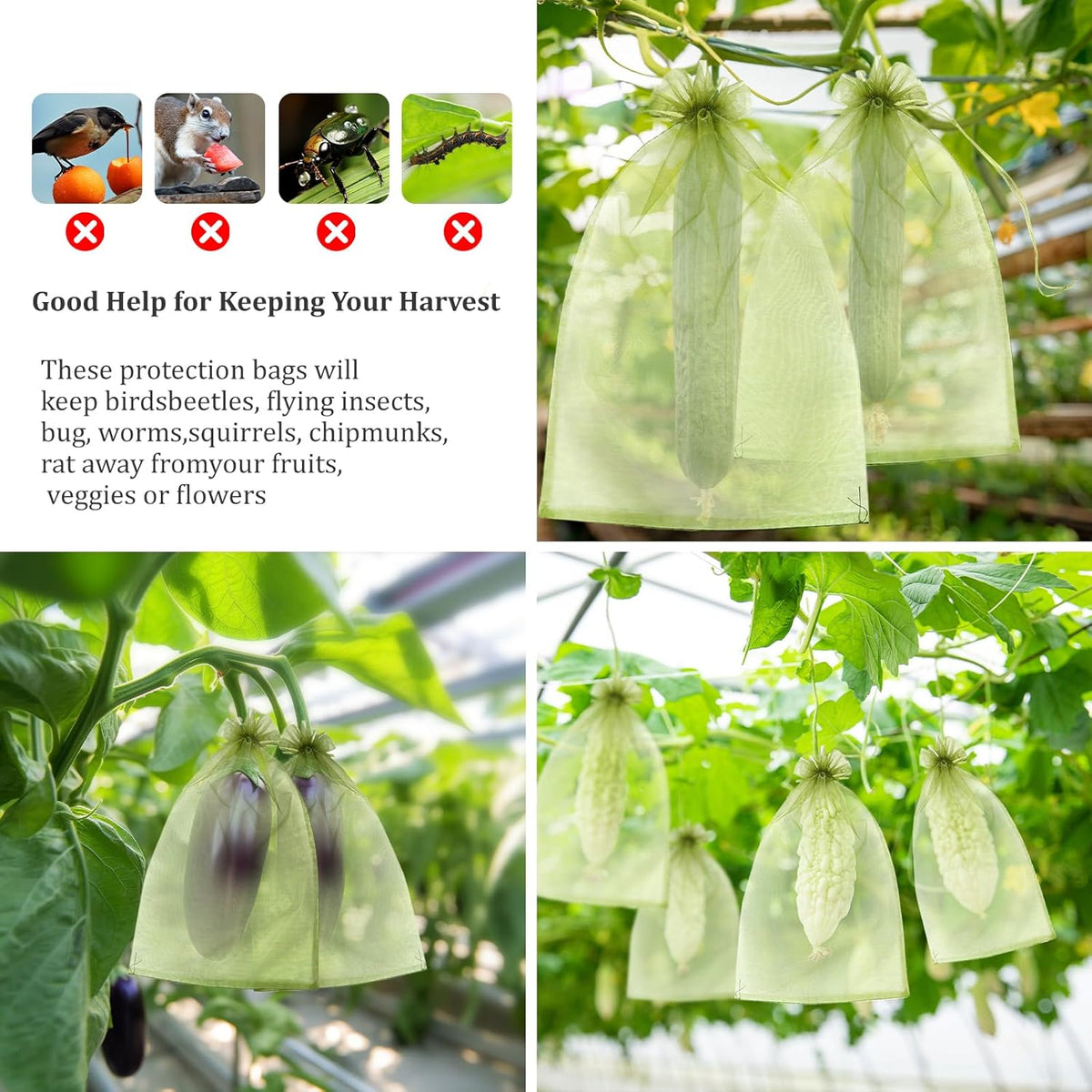 50 PCS 4X6 inches Fruit Protection Bags, Fruit Bags for Fruit Trees