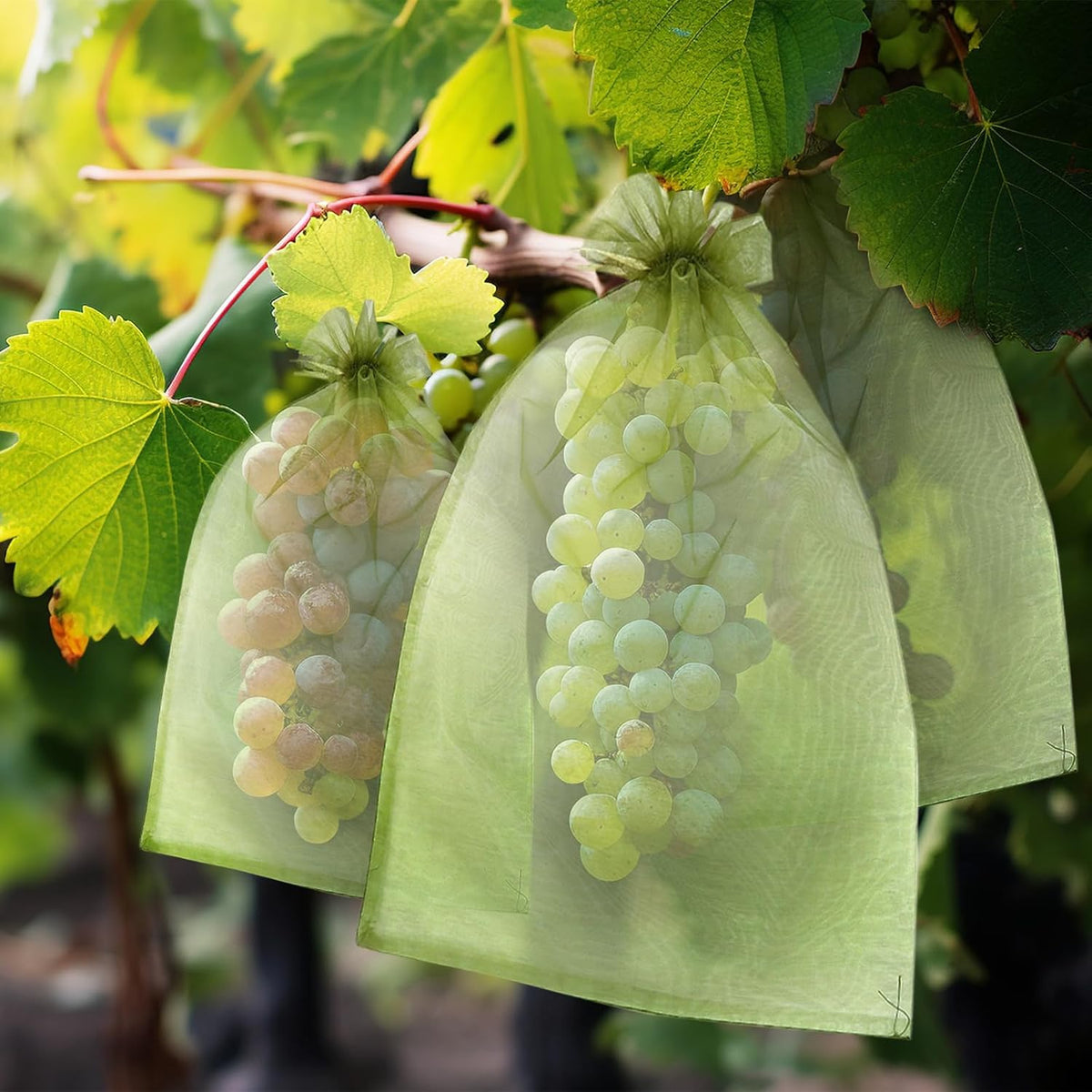 50 PCS 4X6 inches Fruit Protection Bags, Fruit Bags for Fruit Trees