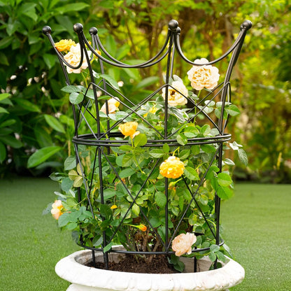 Peony Supports for Outdoor Plants,18.5 x 22.9in Dahlia Stakes