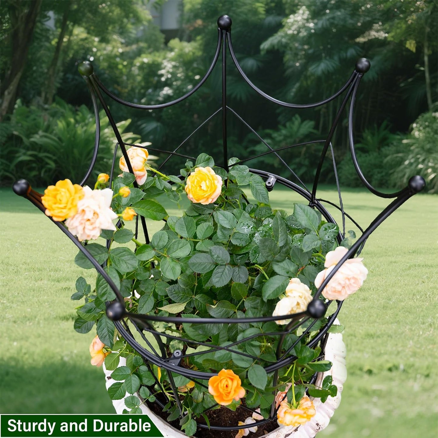 Peony Supports for Outdoor Plants,18.5 x 22.9in Dahlia Stakes