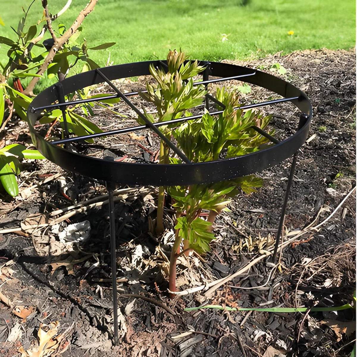 Peony Supports for Outdoor Plants,18.5 x 22.9in Dahlia Stakes