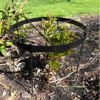 Peony Supports for Outdoor Plants,18.5 x 22.9in Dahlia Stakes