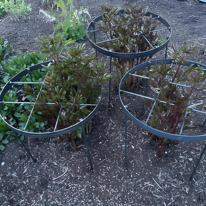 Peony Supports for Outdoor Plants,18.5 x 22.9in Dahlia Stakes