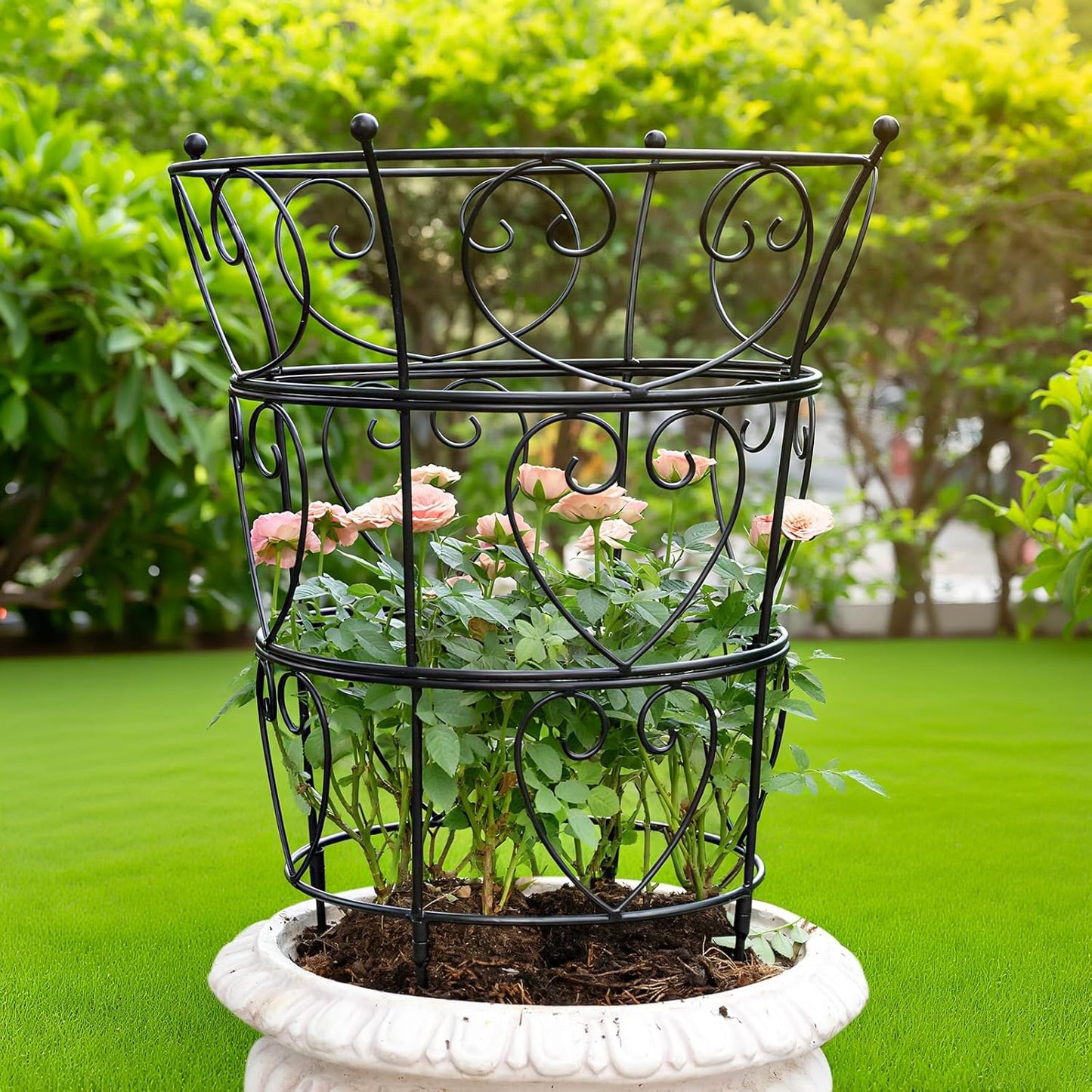 Peony Supports for Outdoor Plants,18.5 x 22.9in Dahlia Stakes