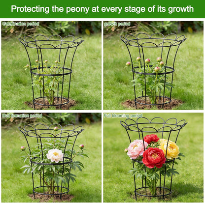Peony Supports for Outdoor Plants,18.5 x 22.9in Dahlia Stakes