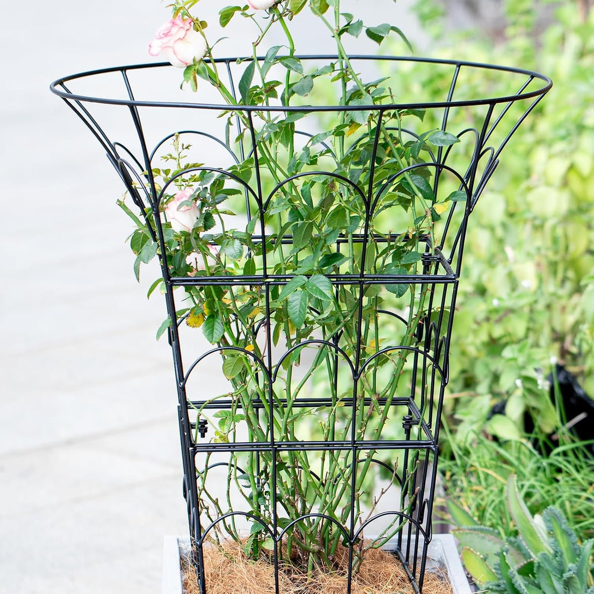 Peony Supports for Outdoor Plants,18.5 x 22.9in Dahlia Stakes
