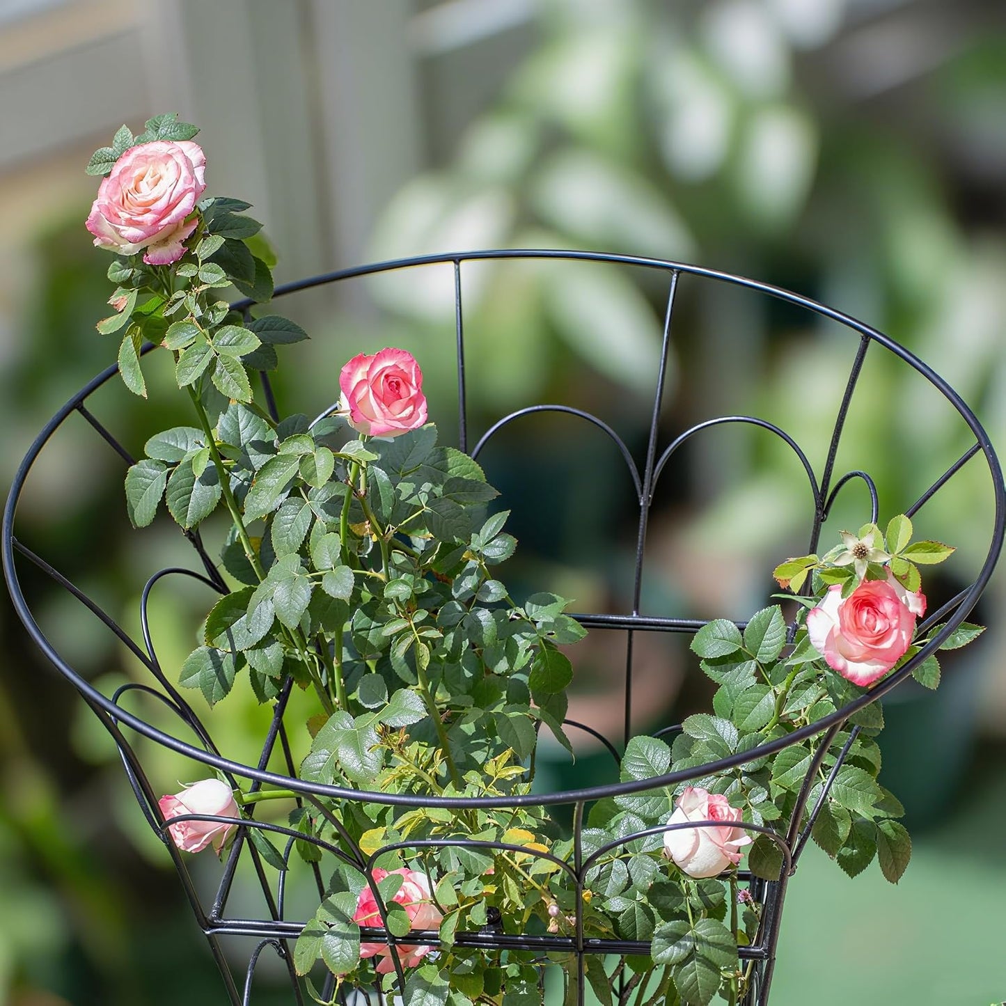Peony Supports for Outdoor Plants,18.5 x 22.9in Dahlia Stakes