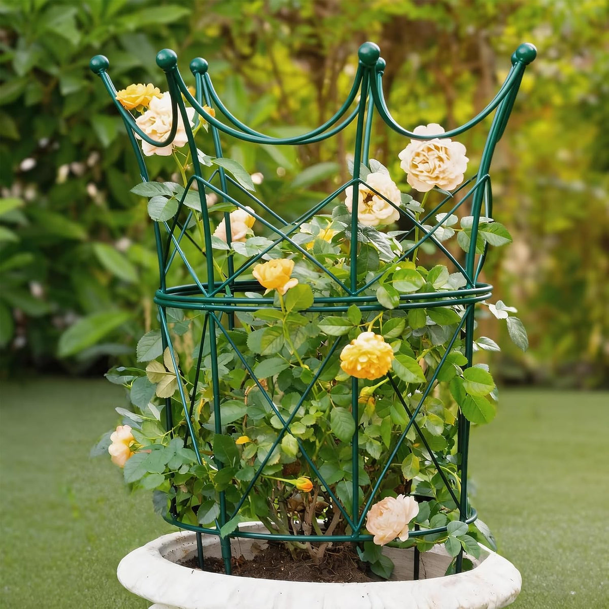 Peony Supports for Outdoor Plants,18.5 x 22.9in Dahlia Stakes