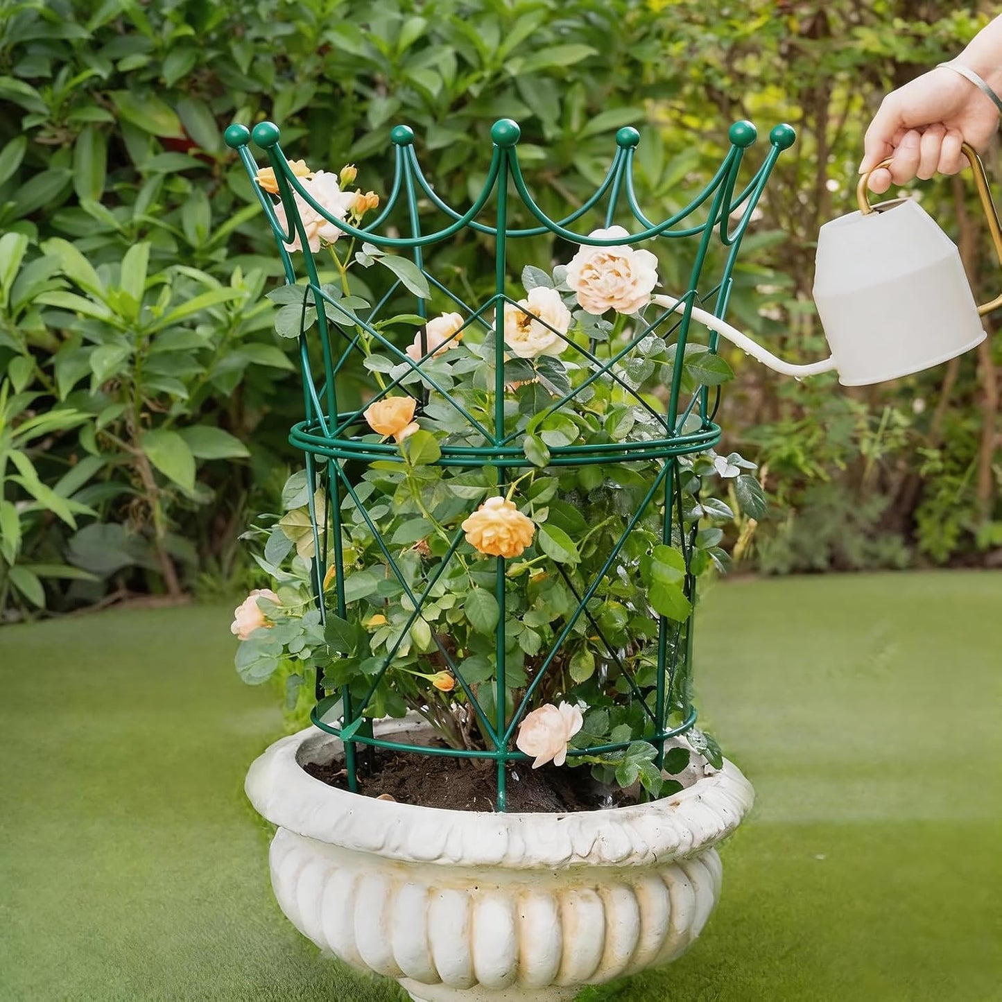 Peony Supports for Outdoor Plants,18.5 x 22.9in Dahlia Stakes