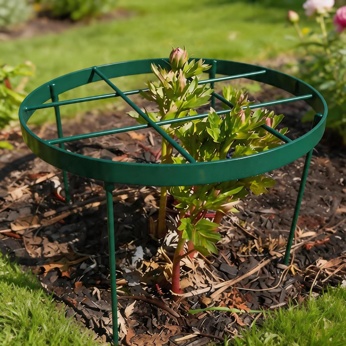 Peony Supports for Outdoor Plants,18.5 x 22.9in Dahlia Stakes