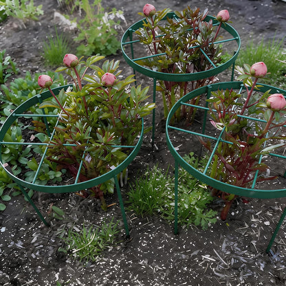 Peony Supports for Outdoor Plants,18.5 x 22.9in Dahlia Stakes