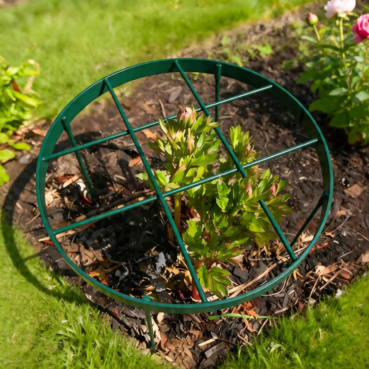 Peony Supports for Outdoor Plants,18.5 x 22.9in Dahlia Stakes