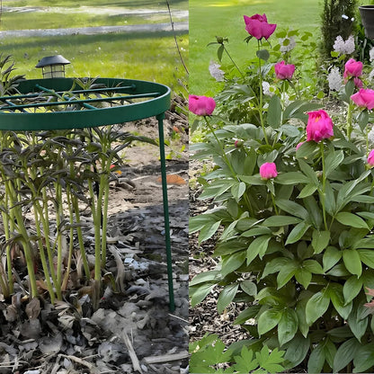 Peony Supports for Outdoor Plants,18.5 x 22.9in Dahlia Stakes