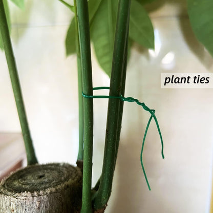 Plant Twist Ties - 8'' Plant Ties for Climbing Plants, Pack of 100, Green