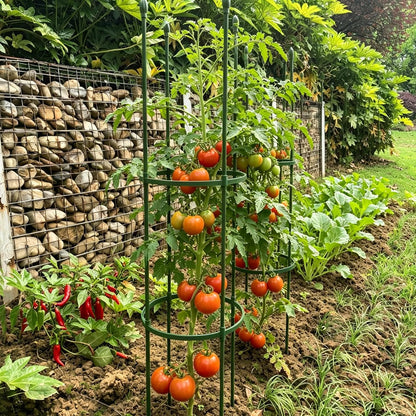 Tomato Cages for Garden&Pots, 4 Pack 50" Plant Support Trellis for Tomatoes, Cucumbers, Beans | Heavy-Duty Steel with Rust-Proof Coating | Garden Stakes for Outdoor Indoor Plants