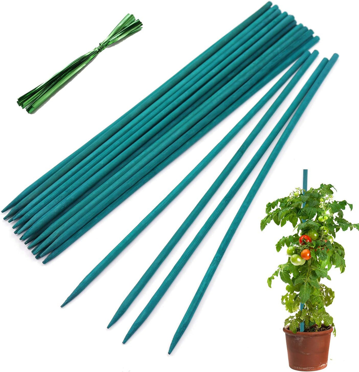 Plant Stakes 25Pcs,15IN Green Bamboo Sticks With25 Green Ties,Orchid Sticks