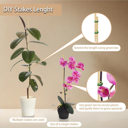 Plant Stakes 25Pcs,15IN Green Bamboo Sticks With25 Green Ties,Orchid Sticks