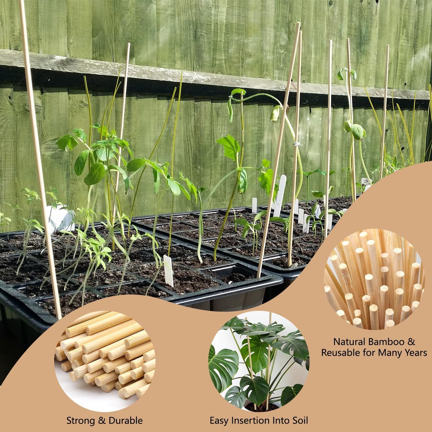 Plant Stakes 25Pcs,15IN Green Bamboo Sticks With25 Green Ties,Orchid Sticks