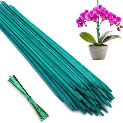 Plant Stakes 25Pcs,15IN Green Bamboo Sticks With25 Green Ties,Orchid Sticks