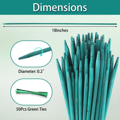 Plant Stakes 25Pcs,15IN Green Bamboo Sticks With25 Green Ties,Orchid Sticks