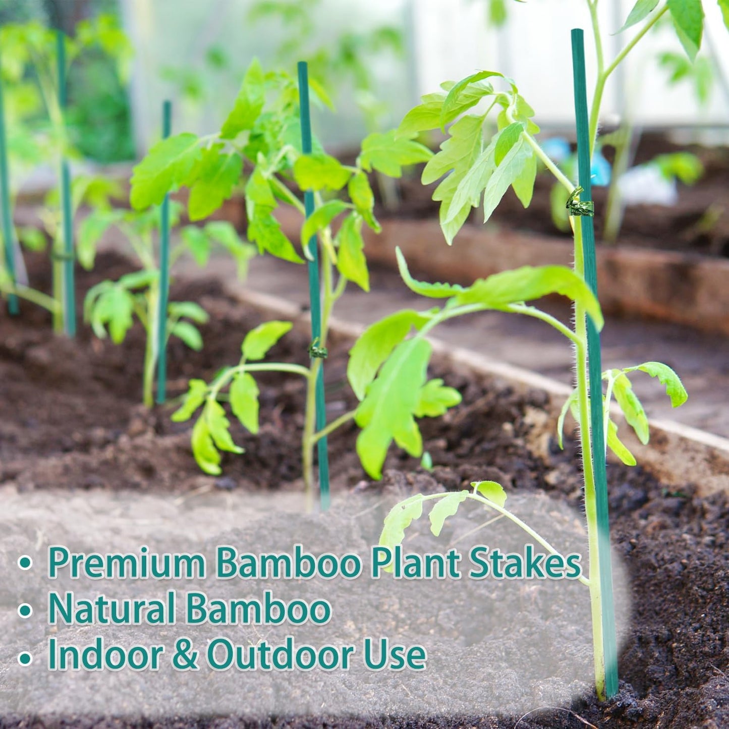 Plant Stakes 25Pcs,15IN Green Bamboo Sticks With25 Green Ties,Orchid Sticks