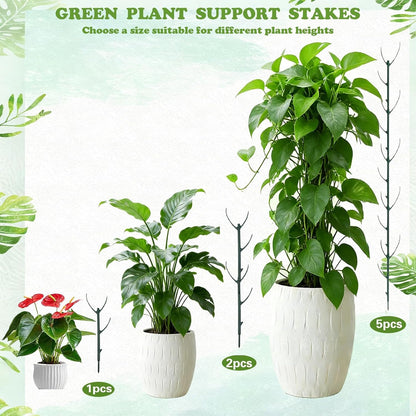 Stackable Monstera Moss Pole, 10 PCS Natural Coir Plant Support Stakes.