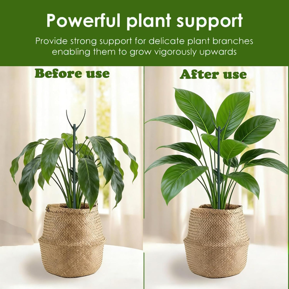 Stackable Monstera Moss Pole, 10 PCS Natural Coir Plant Support Stakes.