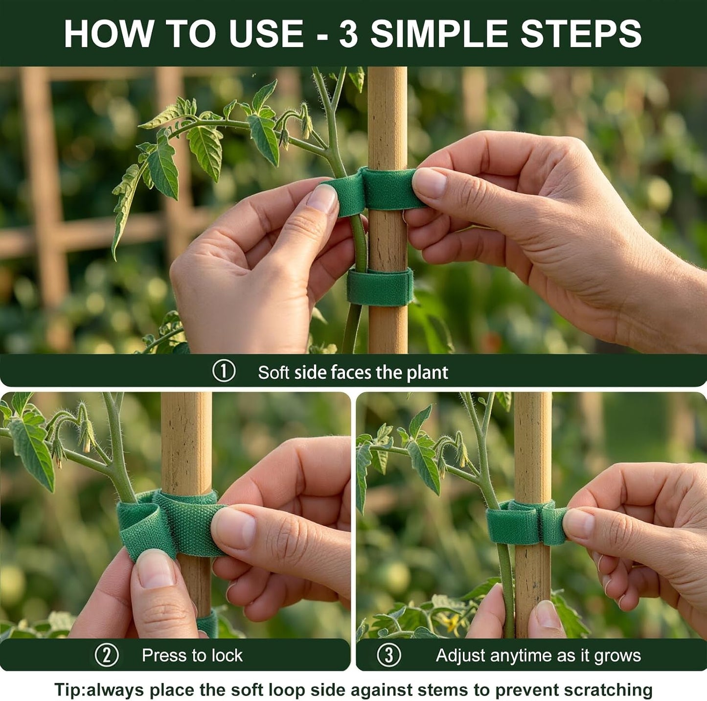 Plant Tape – Reusable Hook and Loop Plant Ties for Climbing Plants, Adjustable Garden Tape for Tomatoes, Vines & Indoor Plants | Nylon, 0.47 in Wide | 1 Roll, 49ft
