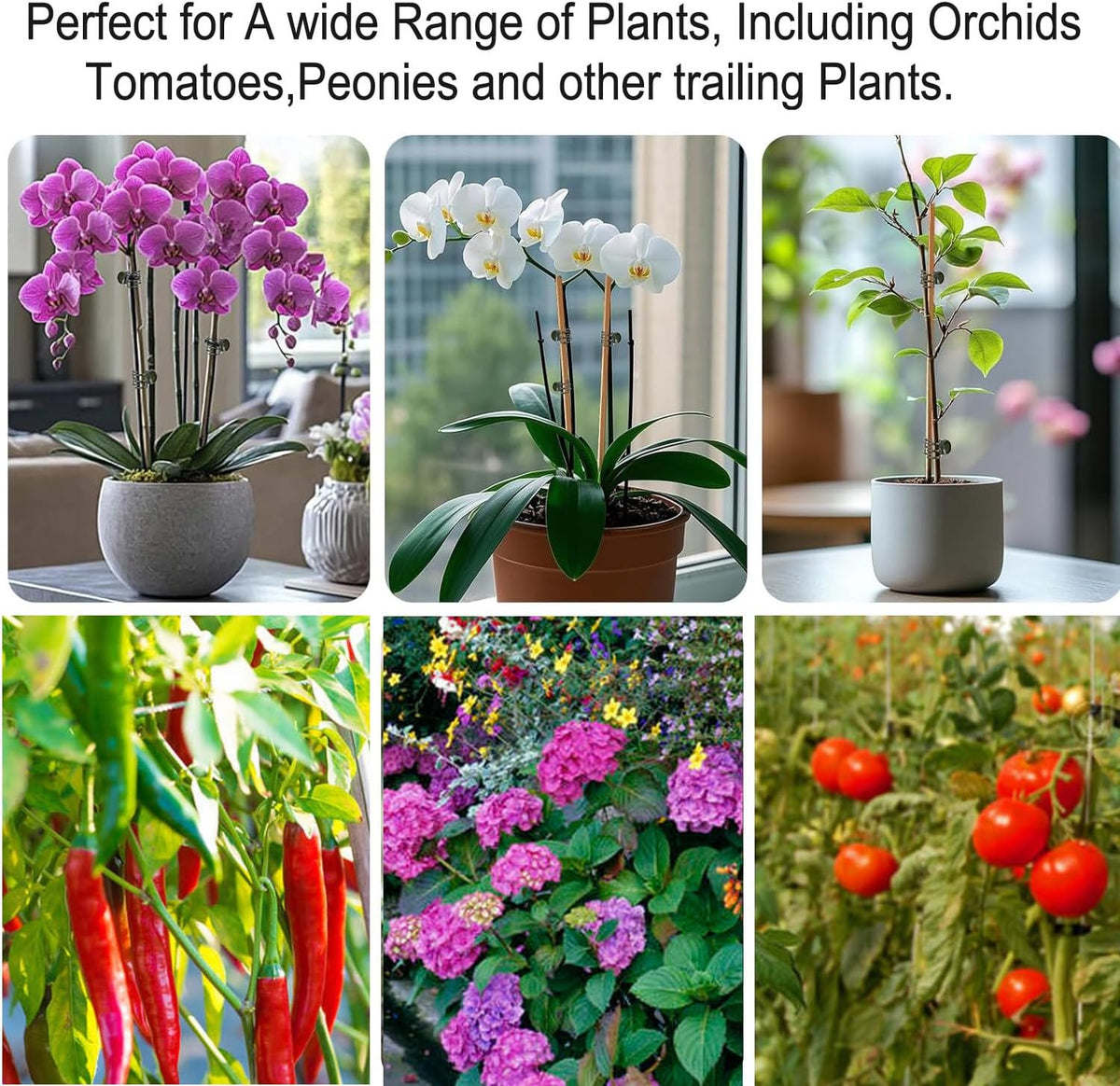 Plant Clips, Orchid Clips Plant Orchid Support Clips Flower and Vine Clips for Supporting Stems Vines Grow Upright Green 50PCS