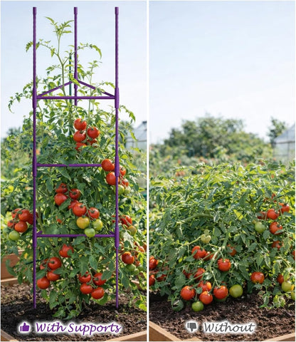 51 inch Tomato Cage Heavy-Duty Plant Support Cucumber & Vine Vegetables – Adjustable Green Metal Garden Trellis for Climbing Plants, Indoor & Outdoor Use, 3 Pack