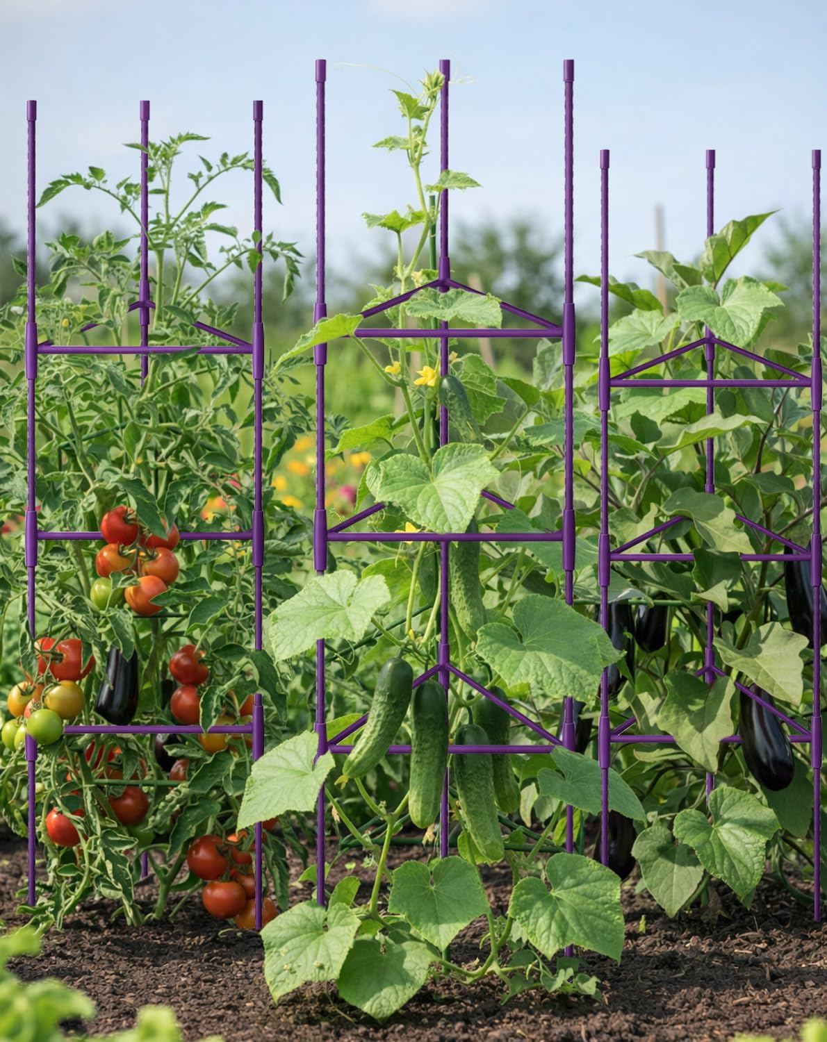 51 inch Tomato Cage Heavy-Duty Plant Support Cucumber & Vine Vegetables – Adjustable Green Metal Garden Trellis for Climbing Plants, Indoor & Outdoor Use, 3 Pack