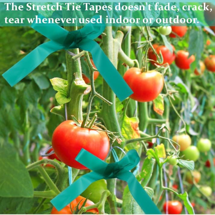 Garden Stretch Tie Tape 1" Wide 150 Feet Non-Sticky Reusable Stretchy Garden Plant Ties Thick Sturdy Stretchable Plant Tape Green Vinyl Stake Ribbon for Tomatoes, Grapes, Flowers and Trees