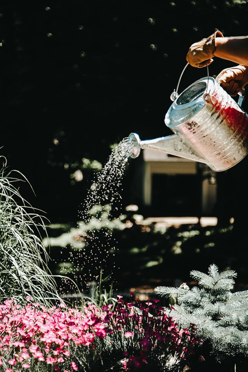 2.5 Gallon Hot Dipped Steel Watering Can