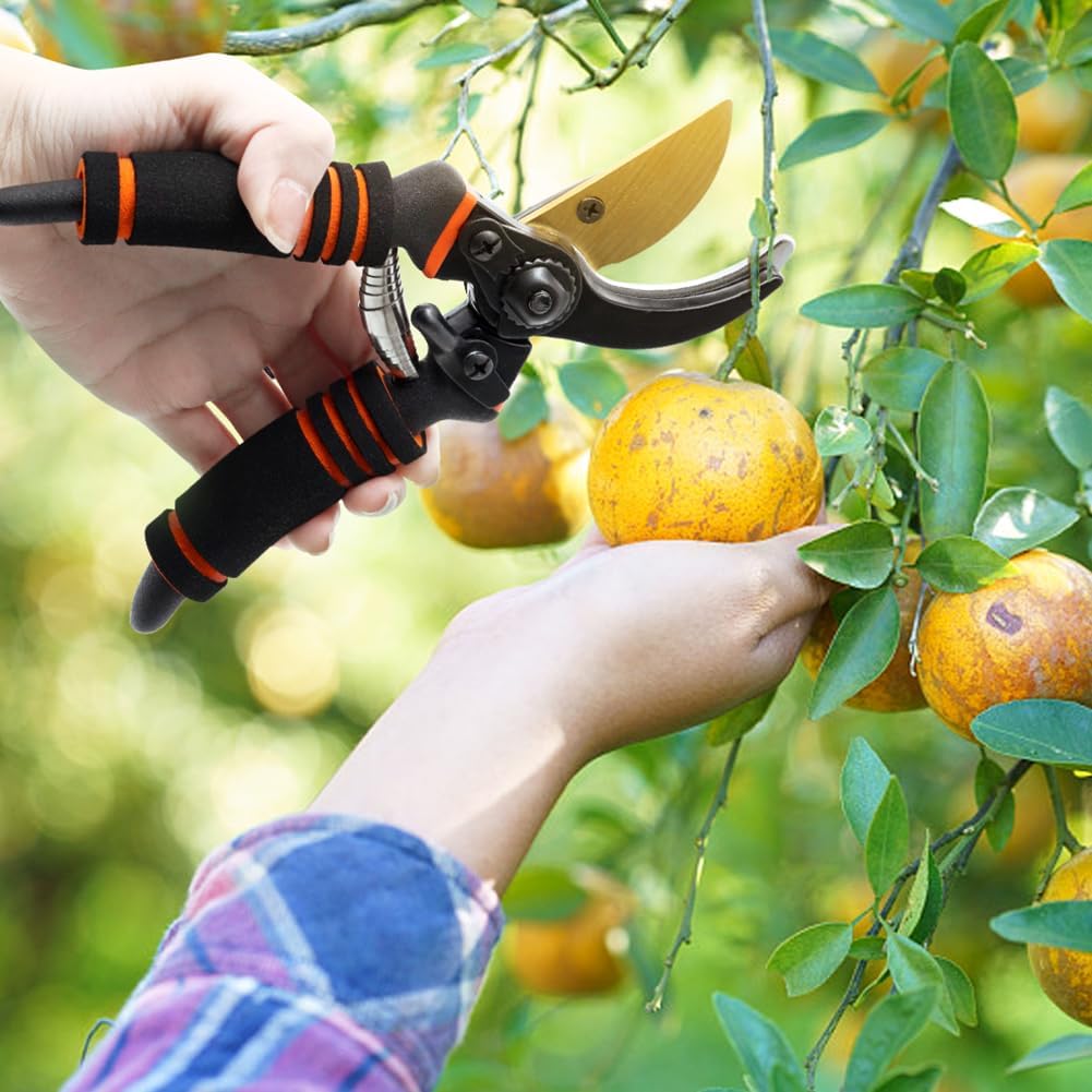 8'' Professional Straight Blade Garden Shears for Plant Trimming