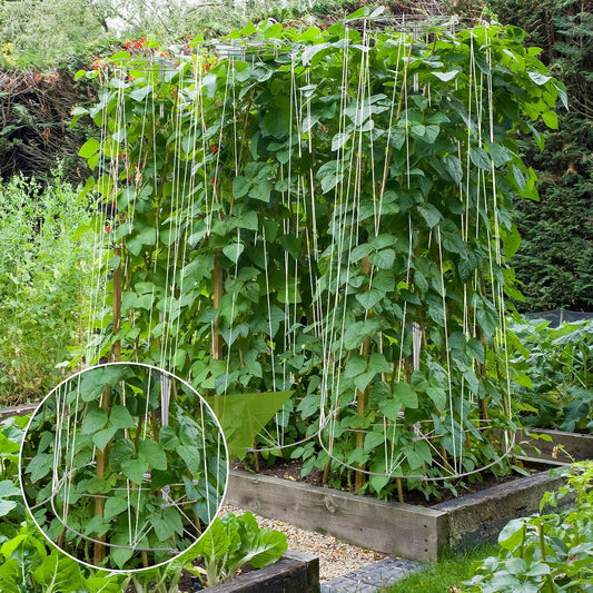 2 Set 6' 3" H Squash Bean Cucumber Melon Vine Tower Sturdy Galvanized Steel Vine Tower with White Twine Large Upright Garden Trellis Plant Support for Climbing Plants Vegetable Outdoor
