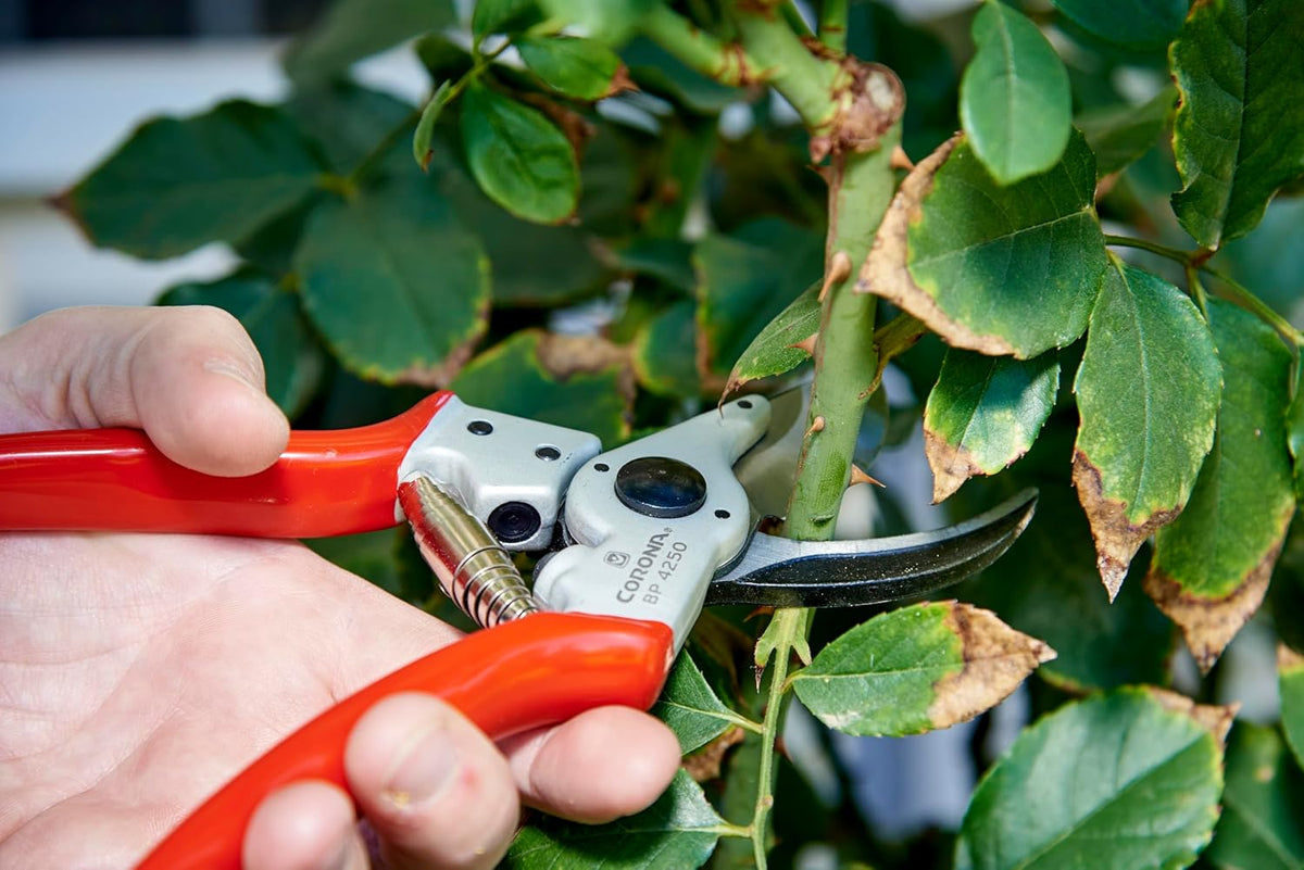 BP 4250 MAXFORGED Aluminum Bypass Pruner, 1-Inch Cut Capacity, Professional Hand Pruning Shears with Replaceable Steel Blade & Ergonomic Angled Head