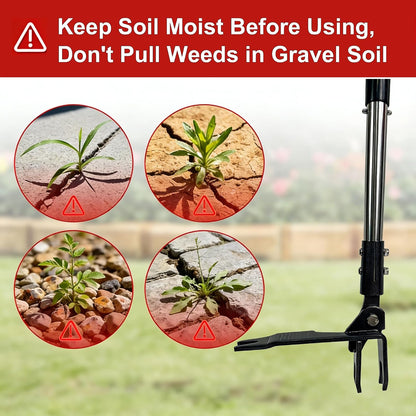 Weed Puller Tool Stand Up Hand Weeder Tool with Adjustable Long Handle, Weed Remover with Steel Head, Remove Weeds Root Easily without Bending, Pulling or Kneeling for Lawn Yard Garden (4 CLAWS)