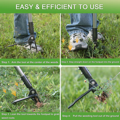 Weed Puller Tool Stand Up Hand Weeder Tool with Adjustable Long Handle, Weed Remover with Steel Head, Remove Weeds Root Easily without Bending, Pulling or Kneeling for Lawn Yard Garden (4 CLAWS)