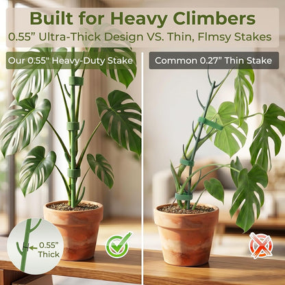 Heavy-Duty Monstera Plant Support Stakes - 10-Piece Stackable Sticks