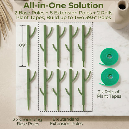 Heavy-Duty Monstera Plant Support Stakes - 10-Piece Stackable Sticks