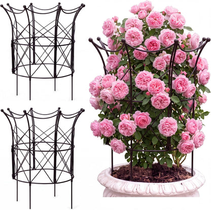 2 Set Metal Garden Obelisk Trellis for Climbing Plants, Crown