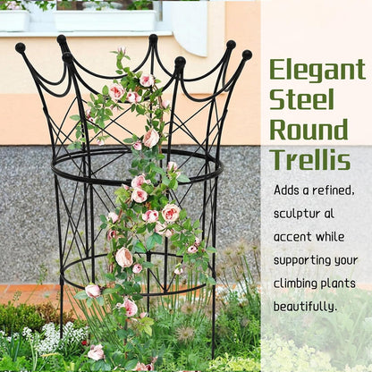 2 Set Metal Garden Obelisk Trellis for Climbing Plants, Crown