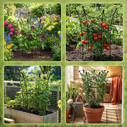 2 Set Metal Garden Obelisk Trellis for Climbing Plants, Crown