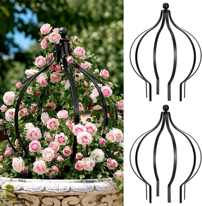 2 Set Metal Garden Obelisk Trellis for Climbing Plants, Crown