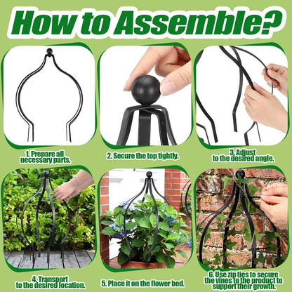 2 Set Metal Garden Obelisk Trellis for Climbing Plants, Crown