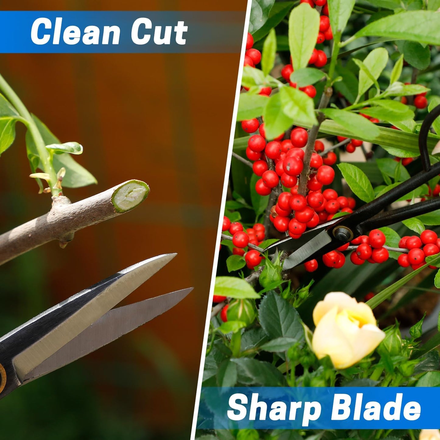 Japanese Bonsai Shears, Long Handle Gardening Scissors