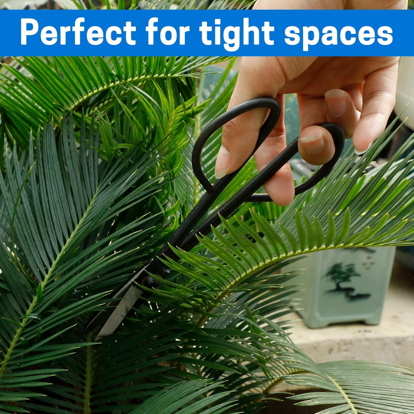 Japanese Bonsai Shears, Long Handle Gardening Scissors