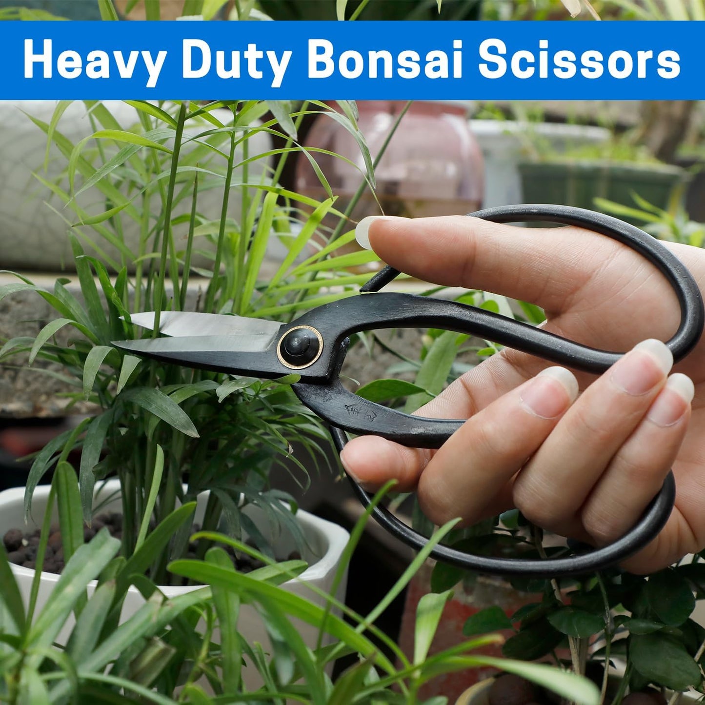 Japanese Bonsai Shears, Long Handle Gardening Scissors