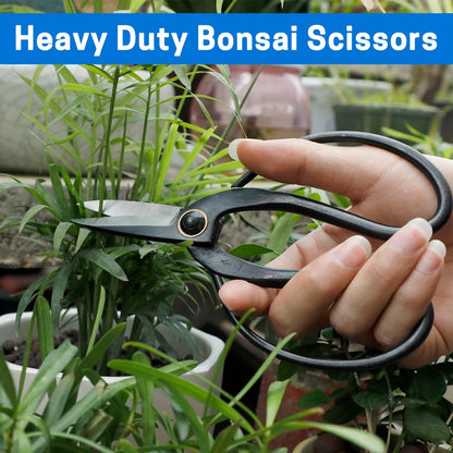 Japanese Bonsai Shears, Long Handle Gardening Scissors