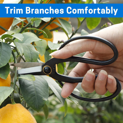 Japanese Bonsai Shears, Long Handle Gardening Scissors